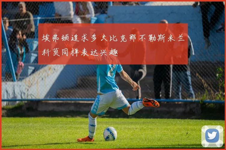 埃弗顿追求多夫比克那不勒斯米兰科莫同样表达兴趣